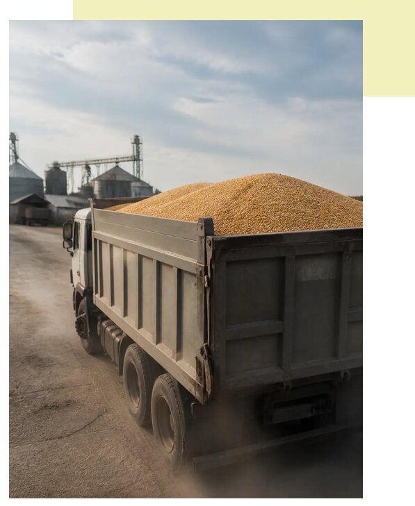 Перевозка сельхозпродукции навалом в Владивосток по цене от 3050 р. | Агросервис-Влд